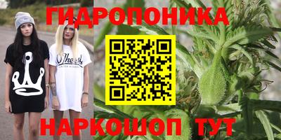 таблы Берёзовский