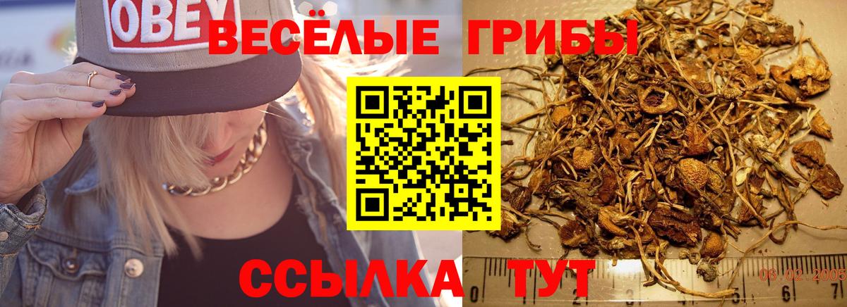 Псилоцибиновые грибы Каменск-Уральский