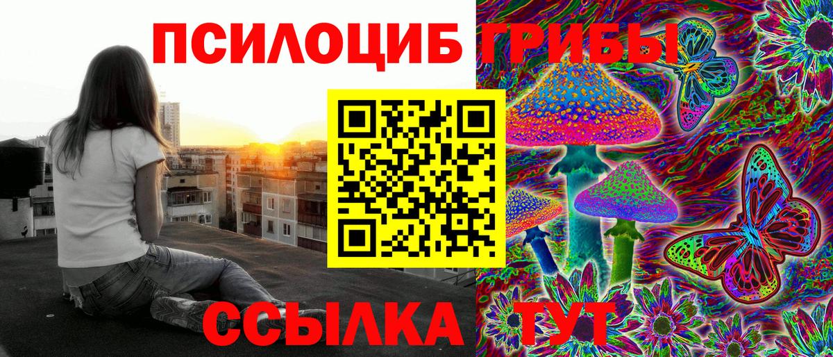 Галлюциногенные грибы Psilocybine cubensis Каменск-Уральский